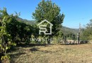 Quinta para Restauro | Casa em Pedra | Vinha | Lagar | Cavez | Cabeceiras de Basto