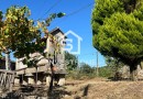 Quinta para Restauro | Casa em Pedra | Vinha | Lagar | Cavez | Cabeceiras de Basto