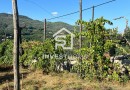 Quinta para Restauro | Casa em Pedra | Vinha | Lagar | Cavez | Cabeceiras de Basto