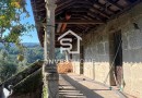 Quinta para Restauro | Casa em Pedra | Vinha | Lagar | Cavez | Cabeceiras de Basto